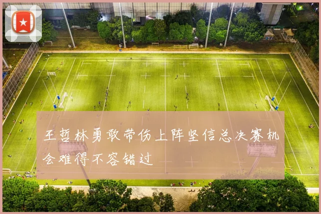 王哲林勇敢带伤上阵坚信总决赛机会难得不容错过