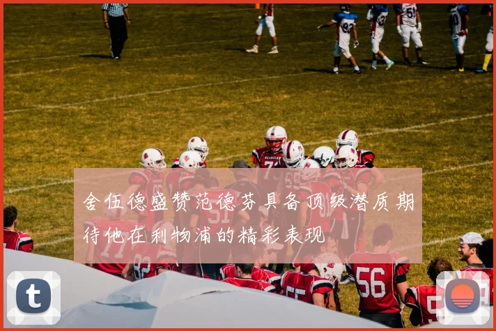 舍伍德盛赞范德芬具备顶级潜质期待他在利物浦的精彩表现