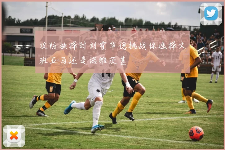 攻防抉择时刻霍华德挑战你选择文班亚马还是诺维茨基